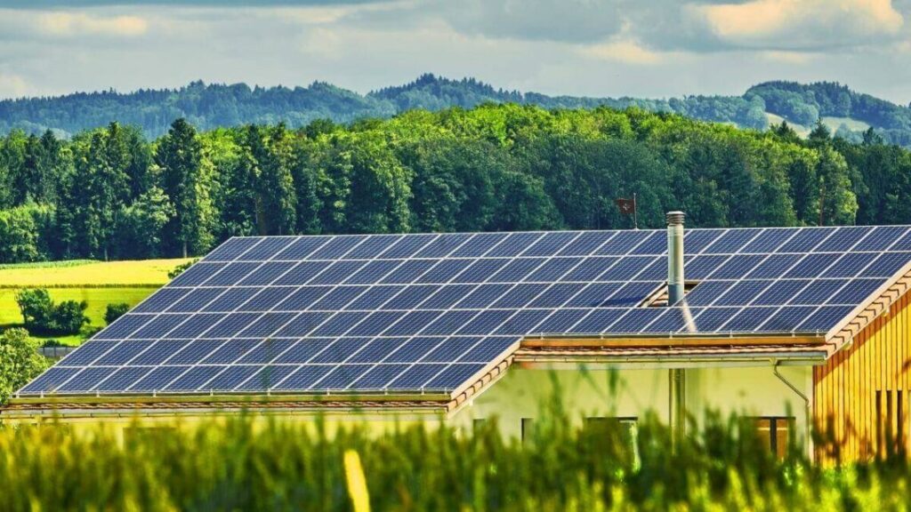 Los paneles solares y el medio ambiente